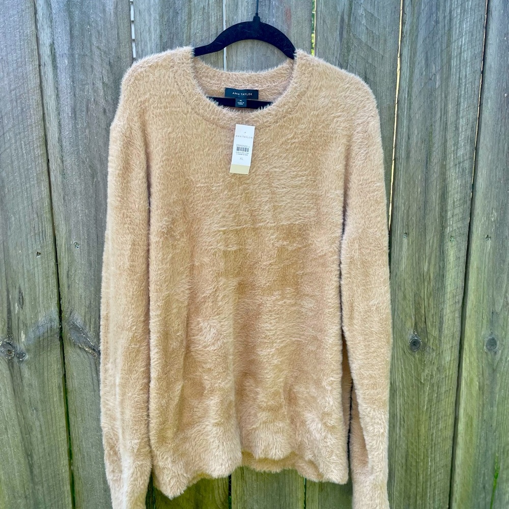 Ann Taylor Fuzzy Crewneck Sweater